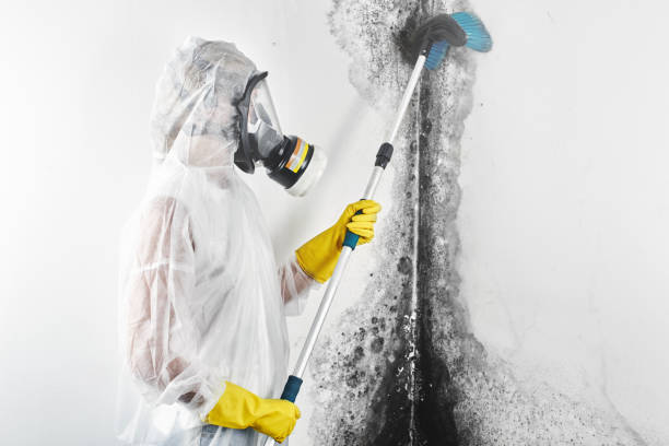Asbestos and Lead Testing During Mold Inspection in Layhill, MD