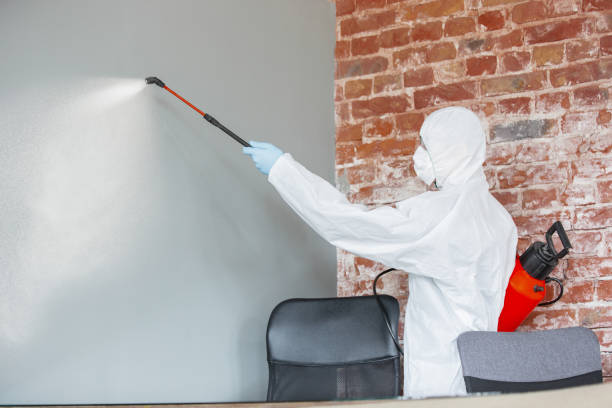 Best Biohazard Mold Removal  in Layhill, MD