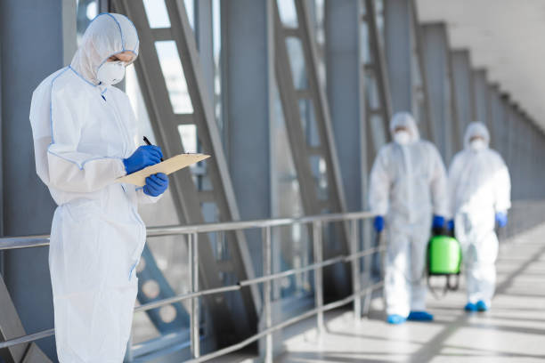 Best Water Damage & Mold Remediation  in Layhill, MD