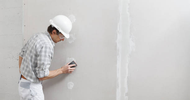 Best Industrial Mold Remediation  in Layhill, MD
