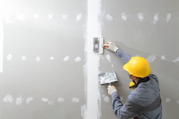 Best Residential Mold Inspection & Testing  in Layhill, MD
