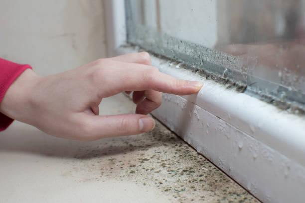 Best Forensic Mold Investigation  in Layhill, MD