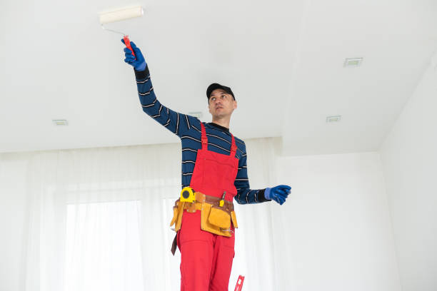 Best Crawl Space Mold Remediation  in Layhill, MD