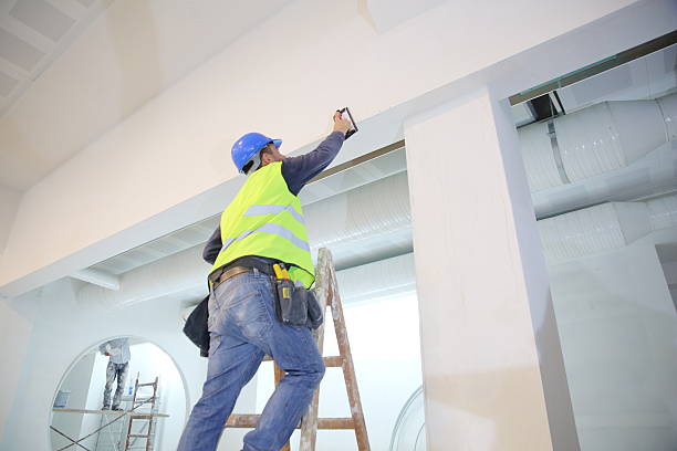 Best Mold Removal for HVAC Installations  in Layhill, MD