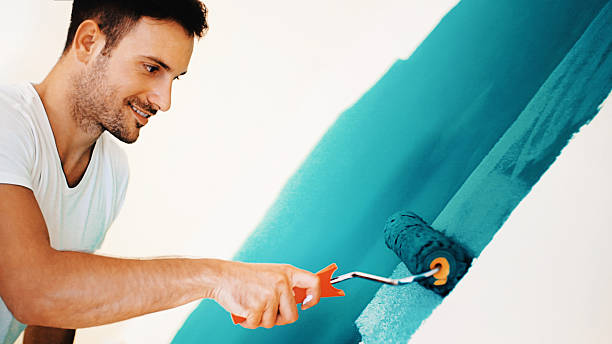 Best Mold Odor Removal Services  in Layhill, MD